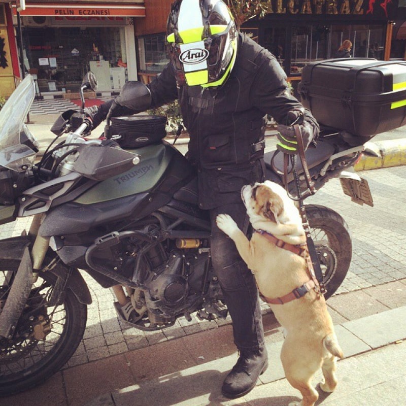 Riderdenim